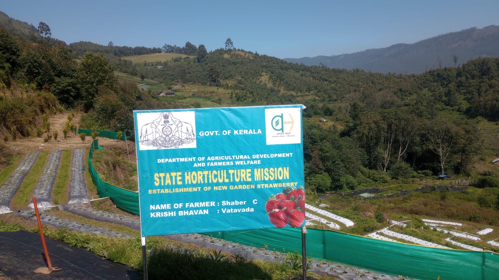 Peaceful meditation spots in nature